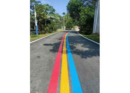 Stripe Rainbow Road Marking Lines In One Pass